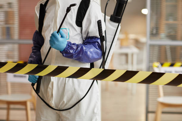 Professional Blood Cleanup technician working in Badger, CA